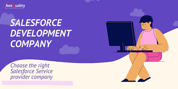 Salesforce Development Company