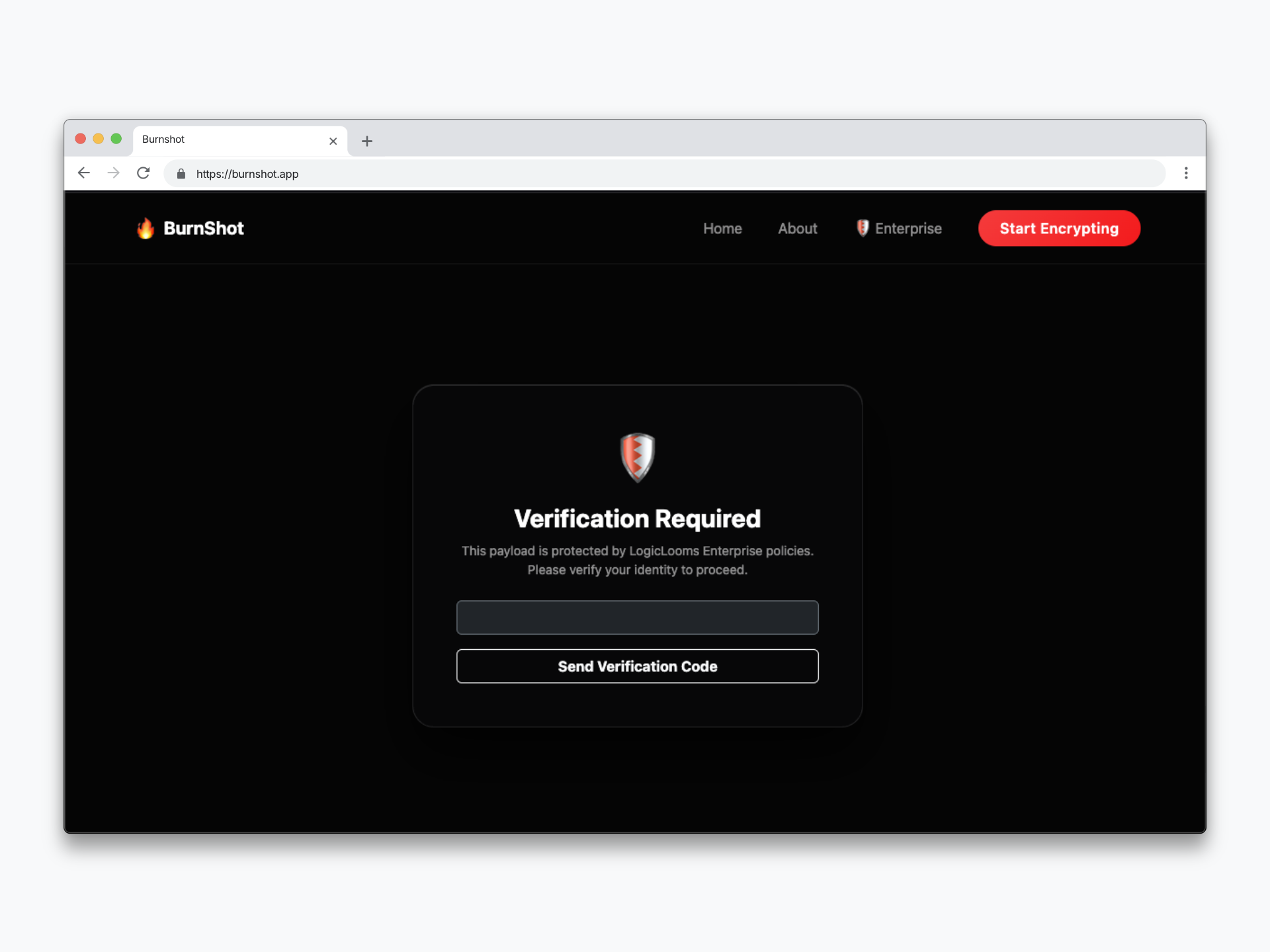 BurnShot gallery image