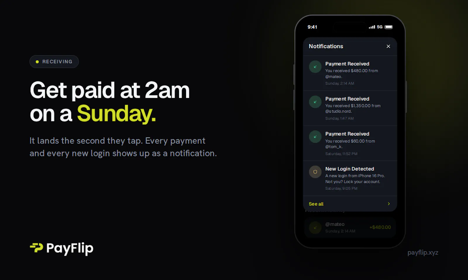 Payflip screenshot 4