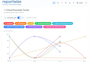ReportWize gallery image