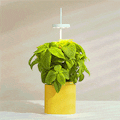 Nano Garden