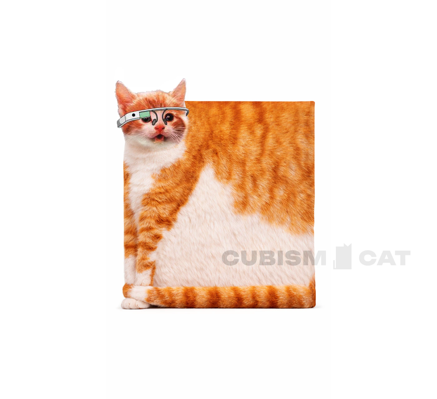 CUBISM CAT app screenshot 2