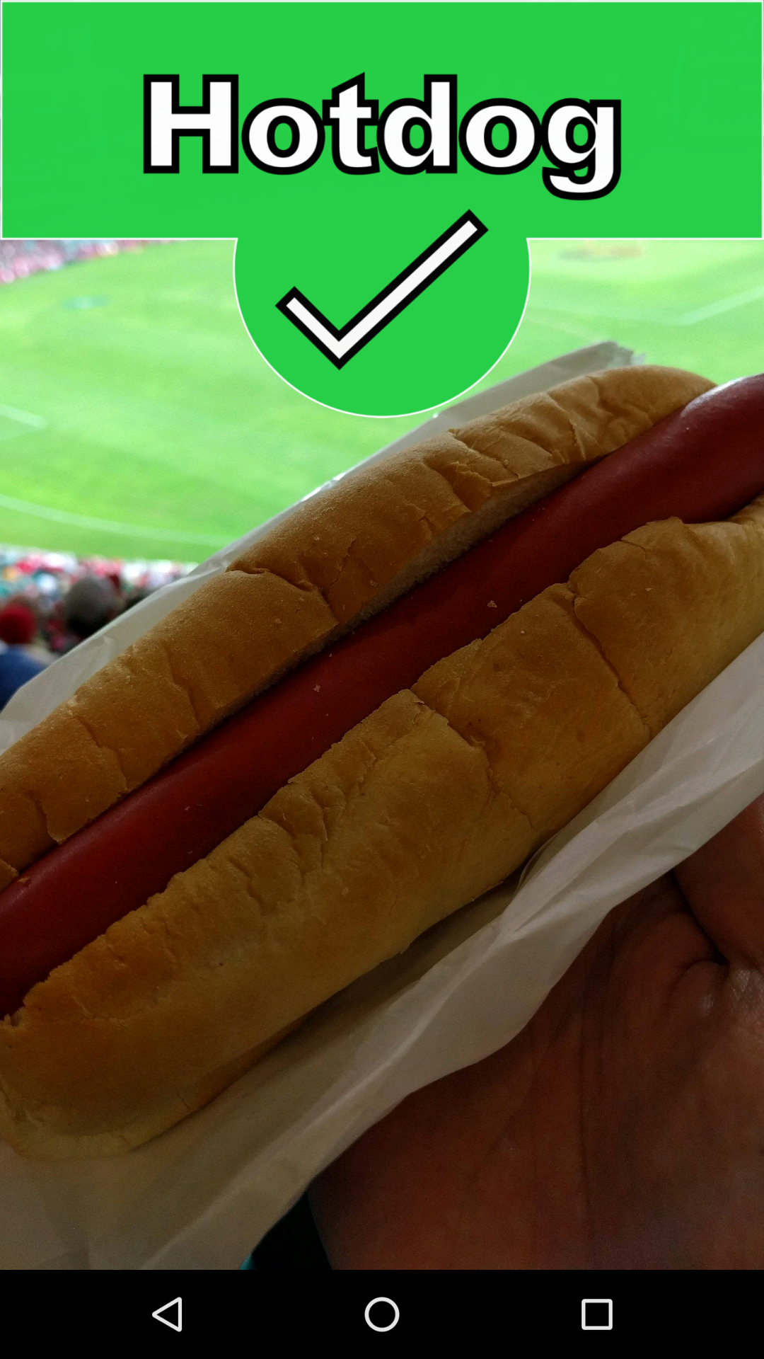 Not Hotdog - SeeFood gallery image