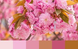 Color Palette Finder media 3
