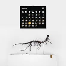 Lunar Theory gallery image