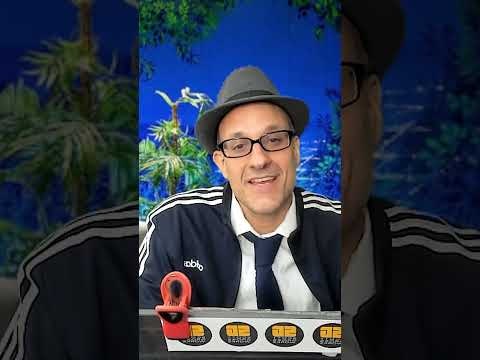 The Leedz gallery image