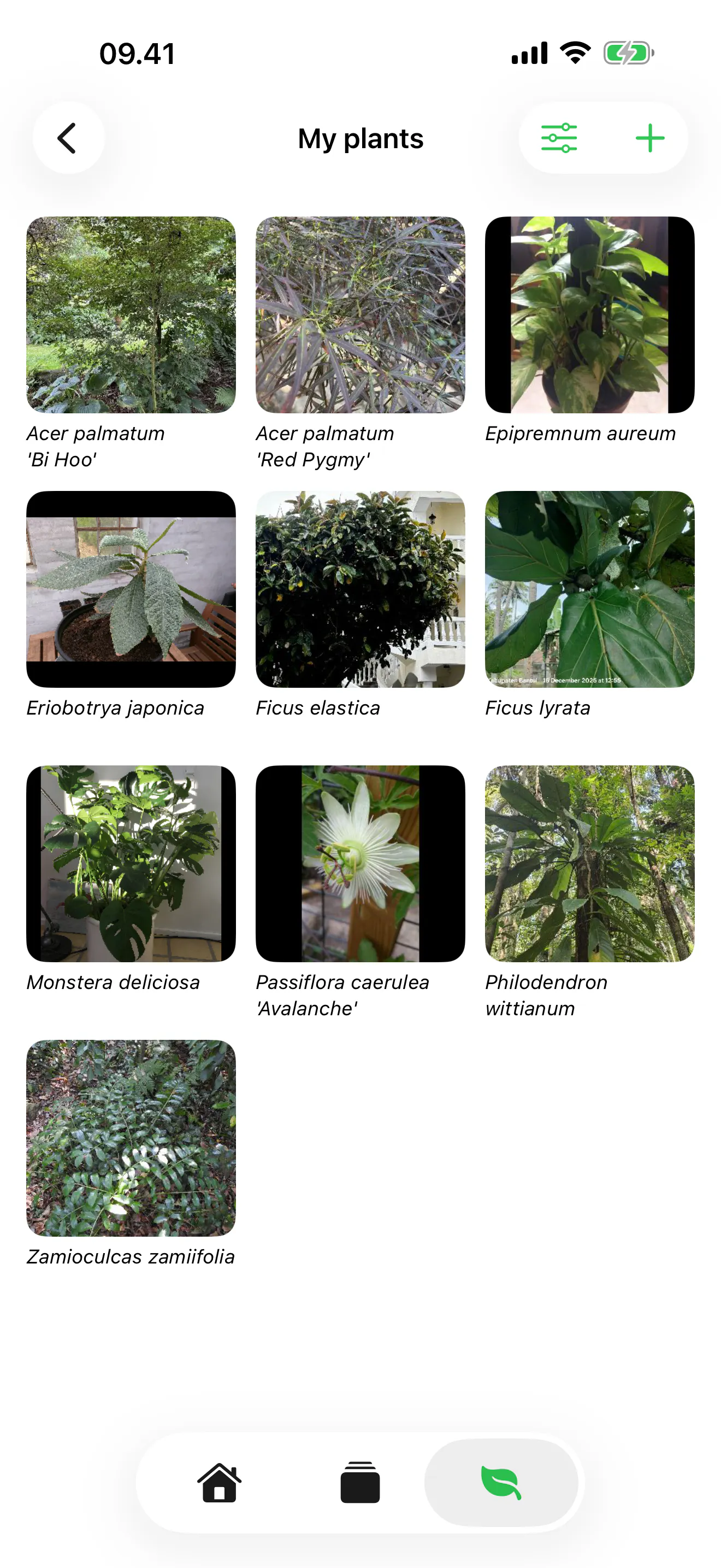 PlantGeekz - Identifier/collection app gallery image