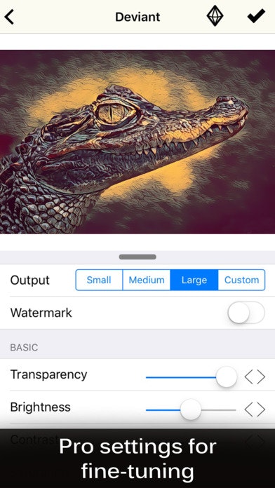 Painnt gallery image