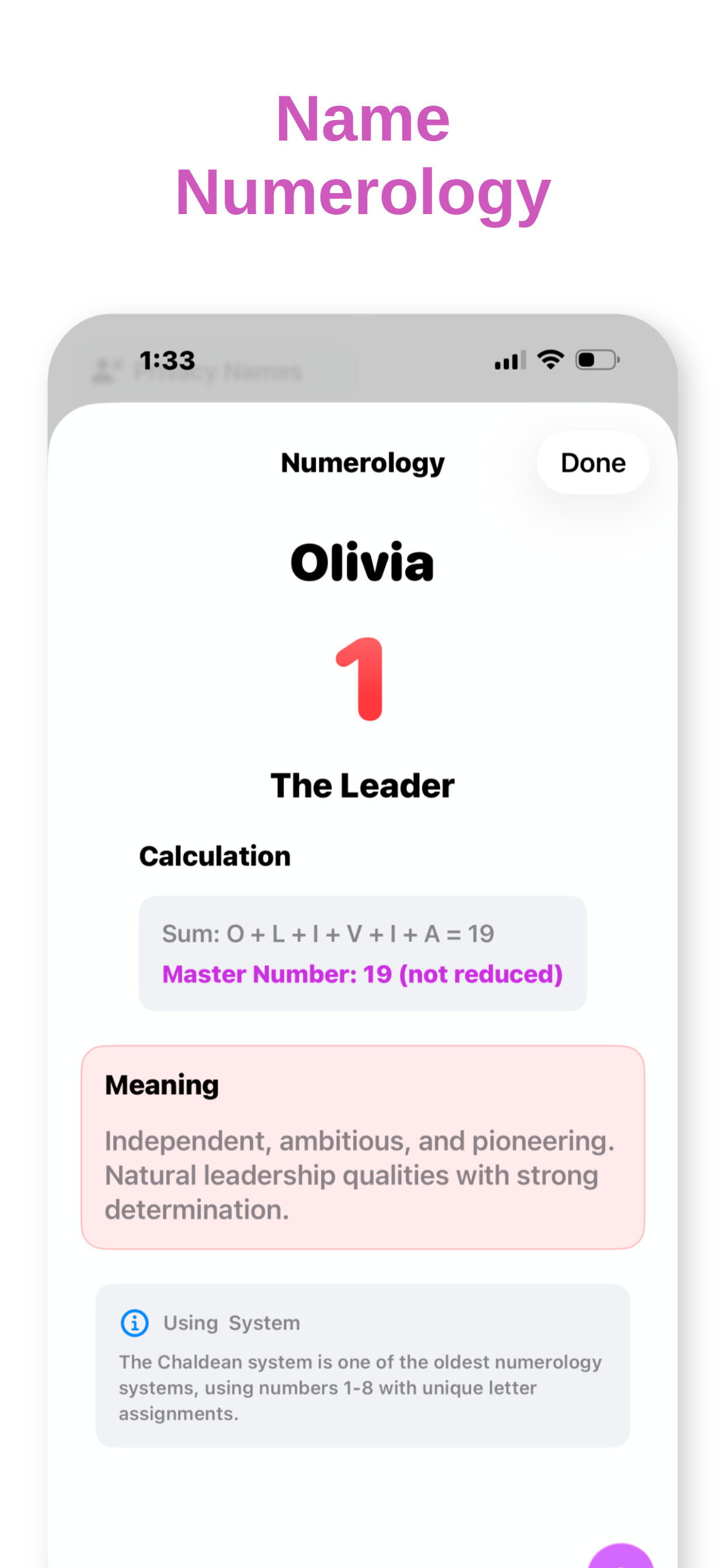 Name Generator Pro - Screenshot 2 showing product features and functionality