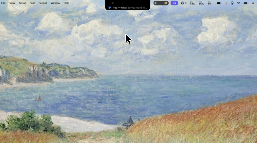 Ara gallery image