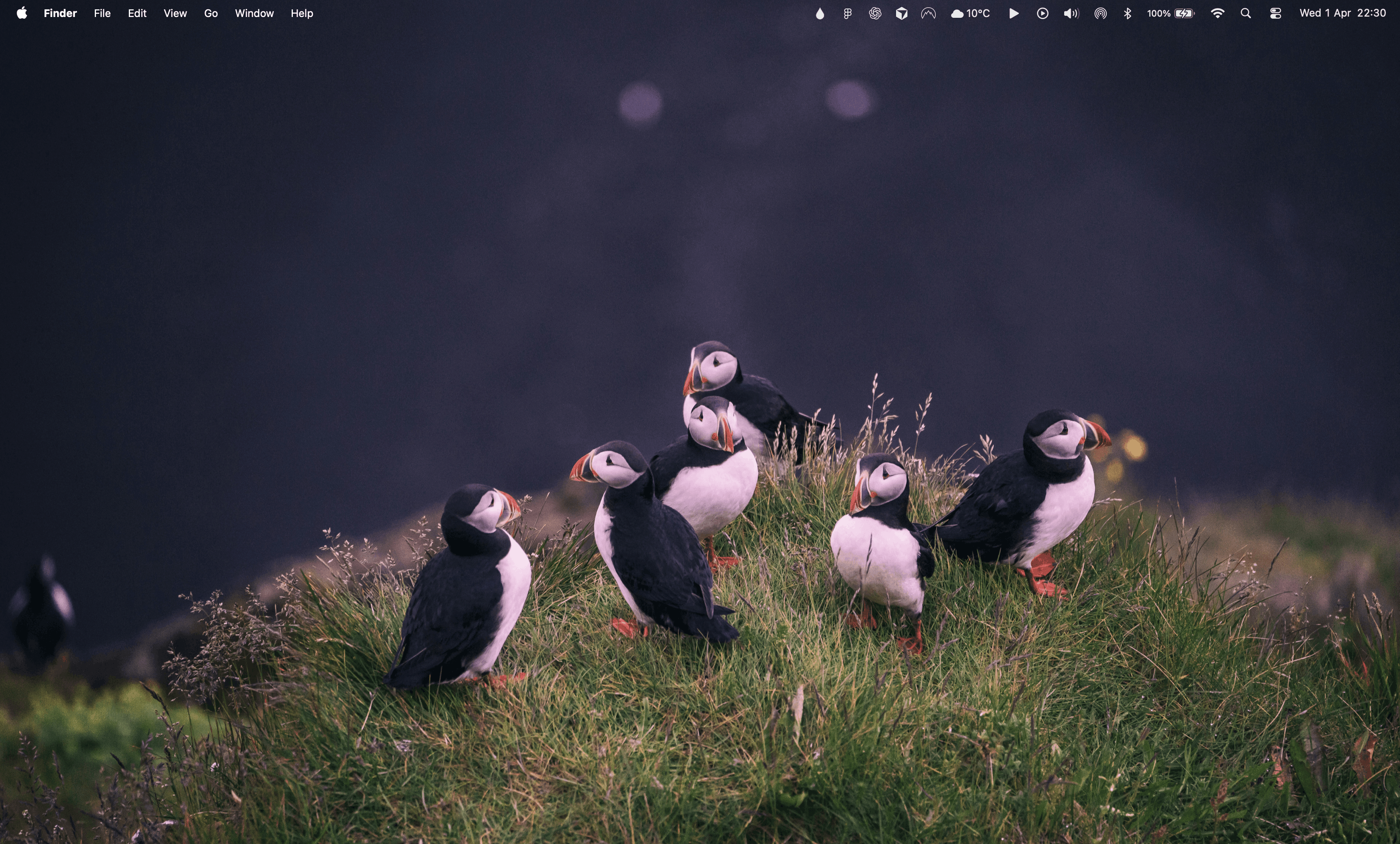 SplashBack gallery image