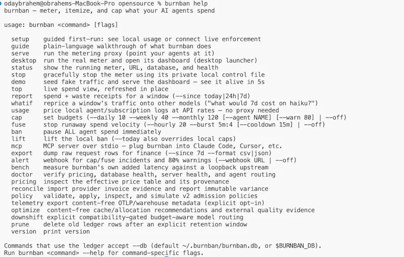 burnban screenshot 7