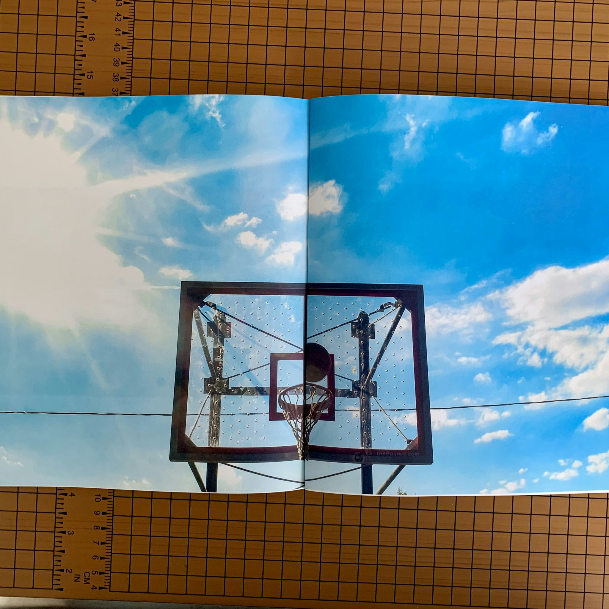 We Will Not Fade Away gallery image