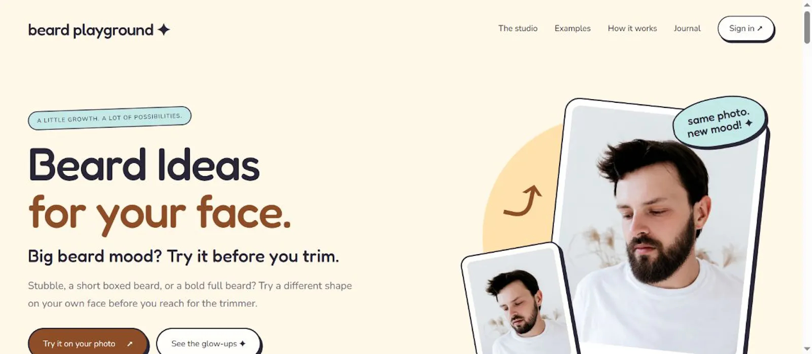 Beard Ideas screenshot 1
