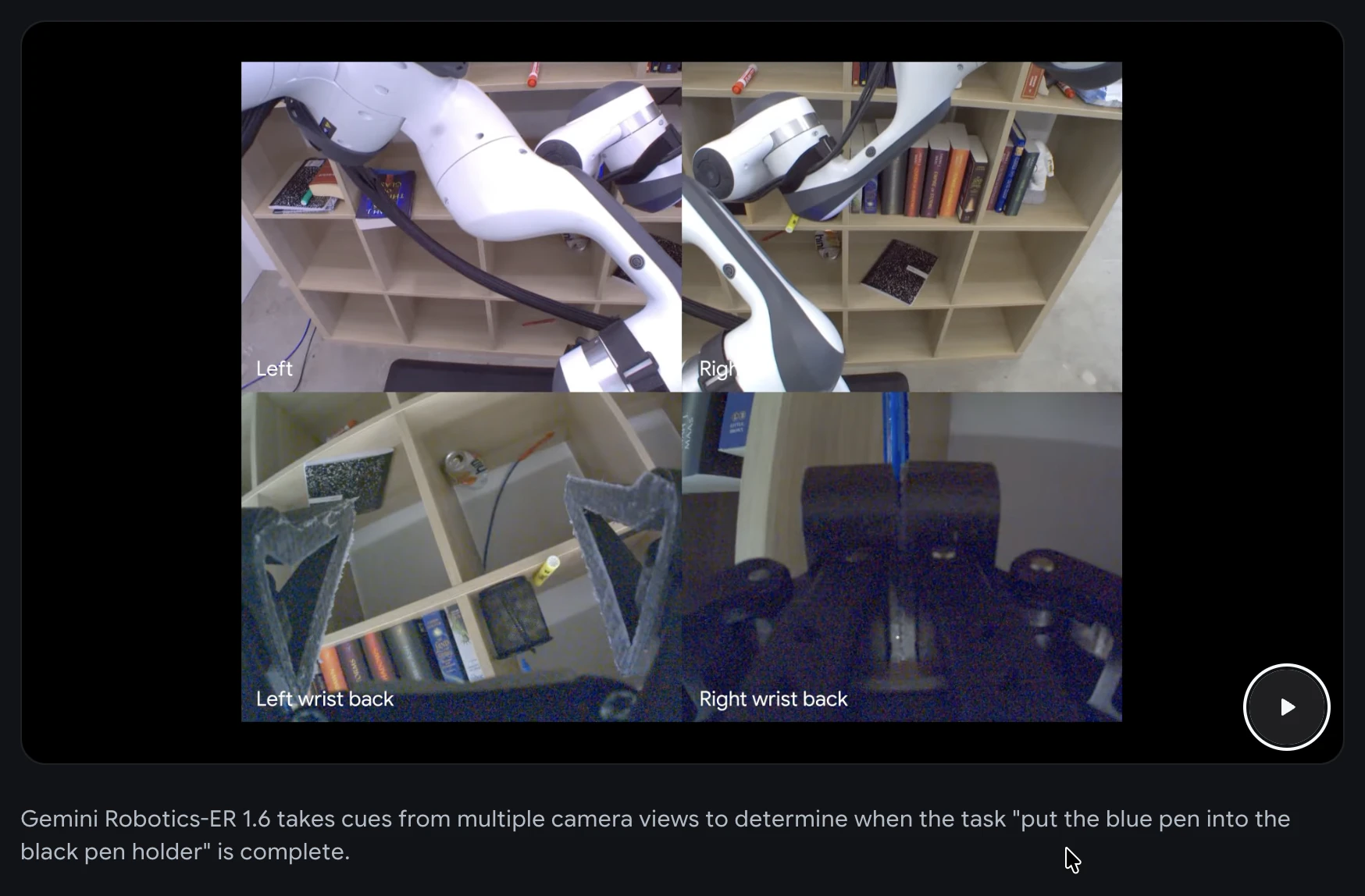 Gemini Robotics ER 1.6 screenshot 4