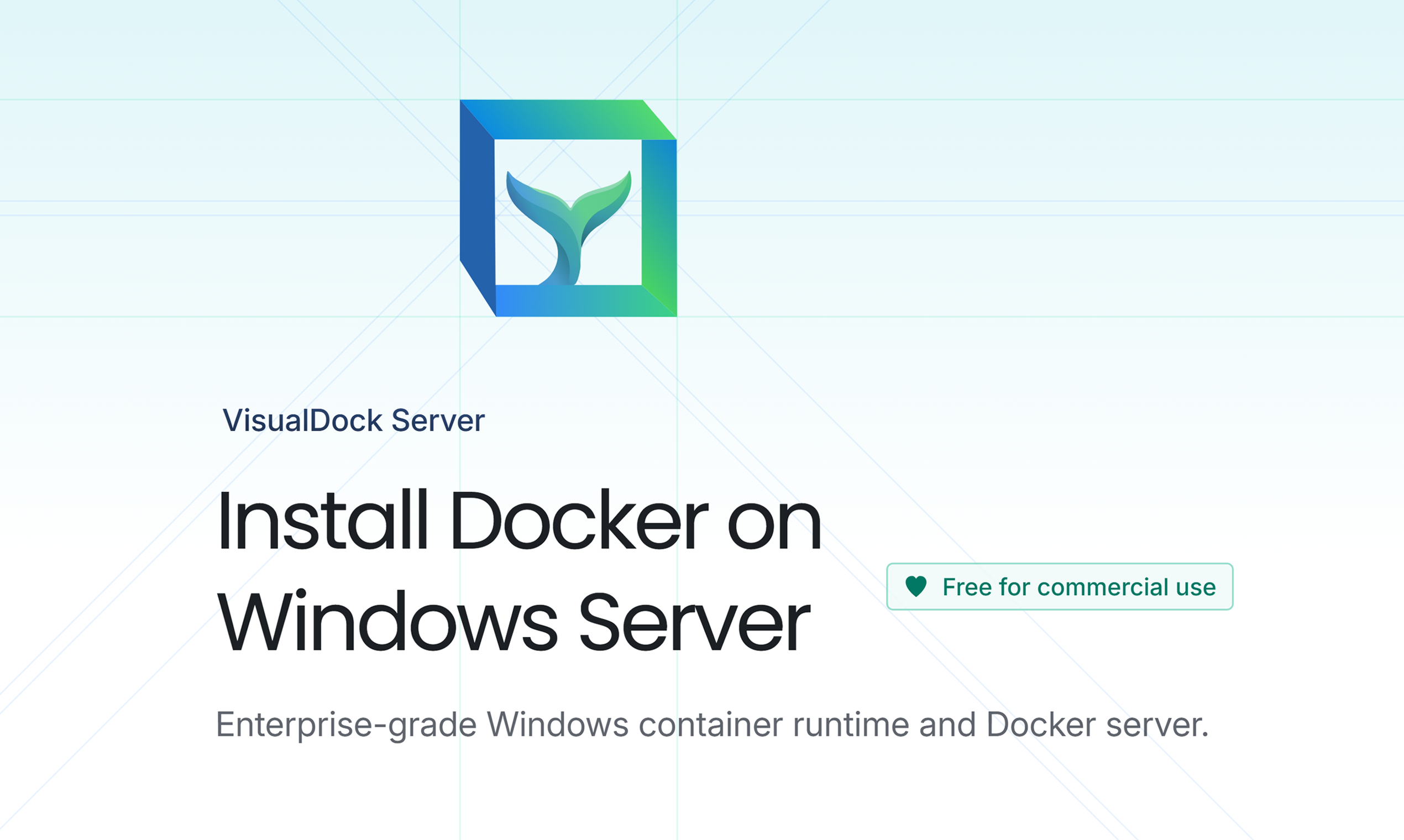 VisualDock Server gallery image