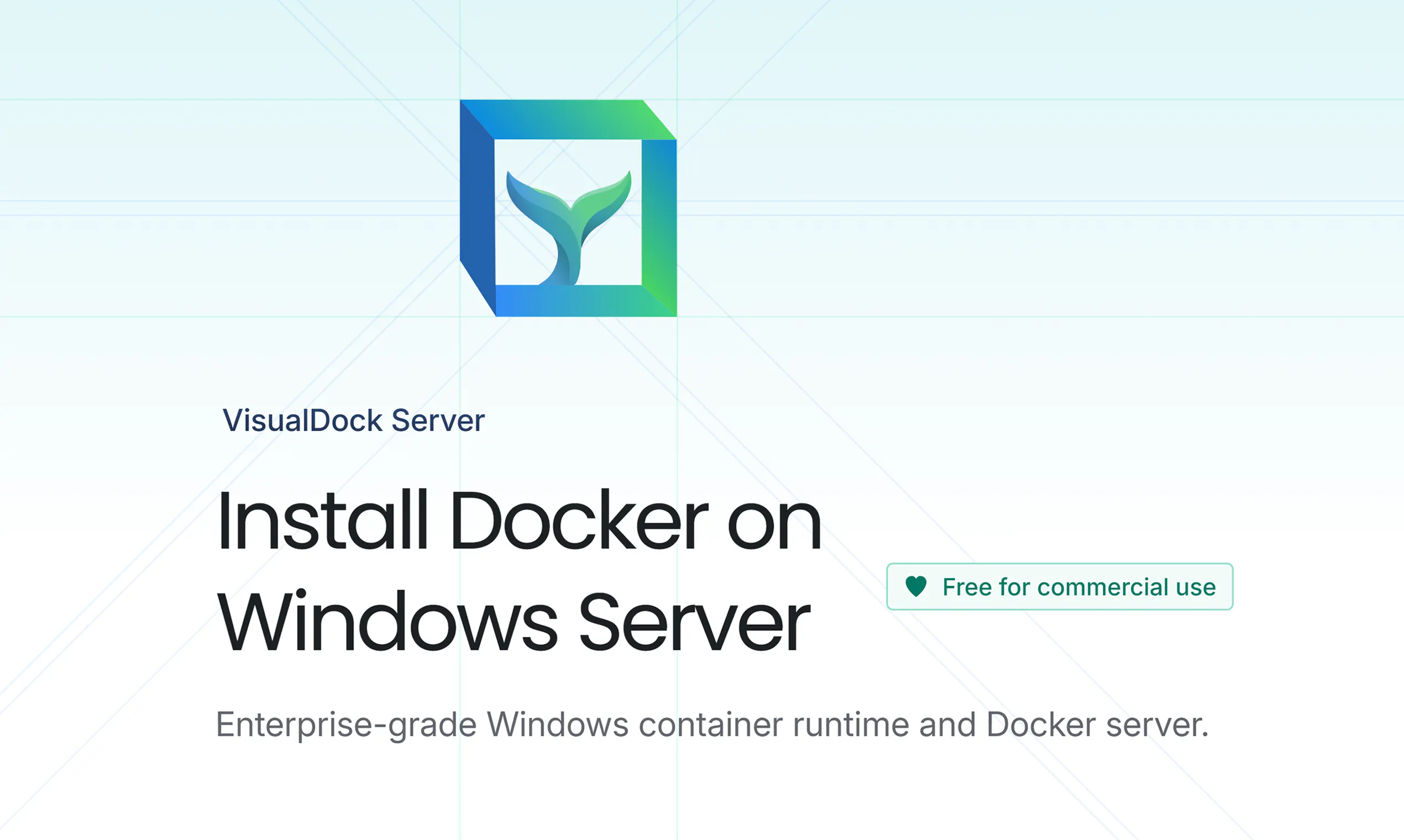 Banner del producto VisualDock Server