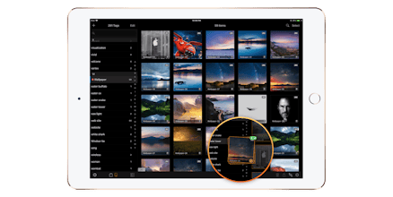 Pixave for iPad gallery image