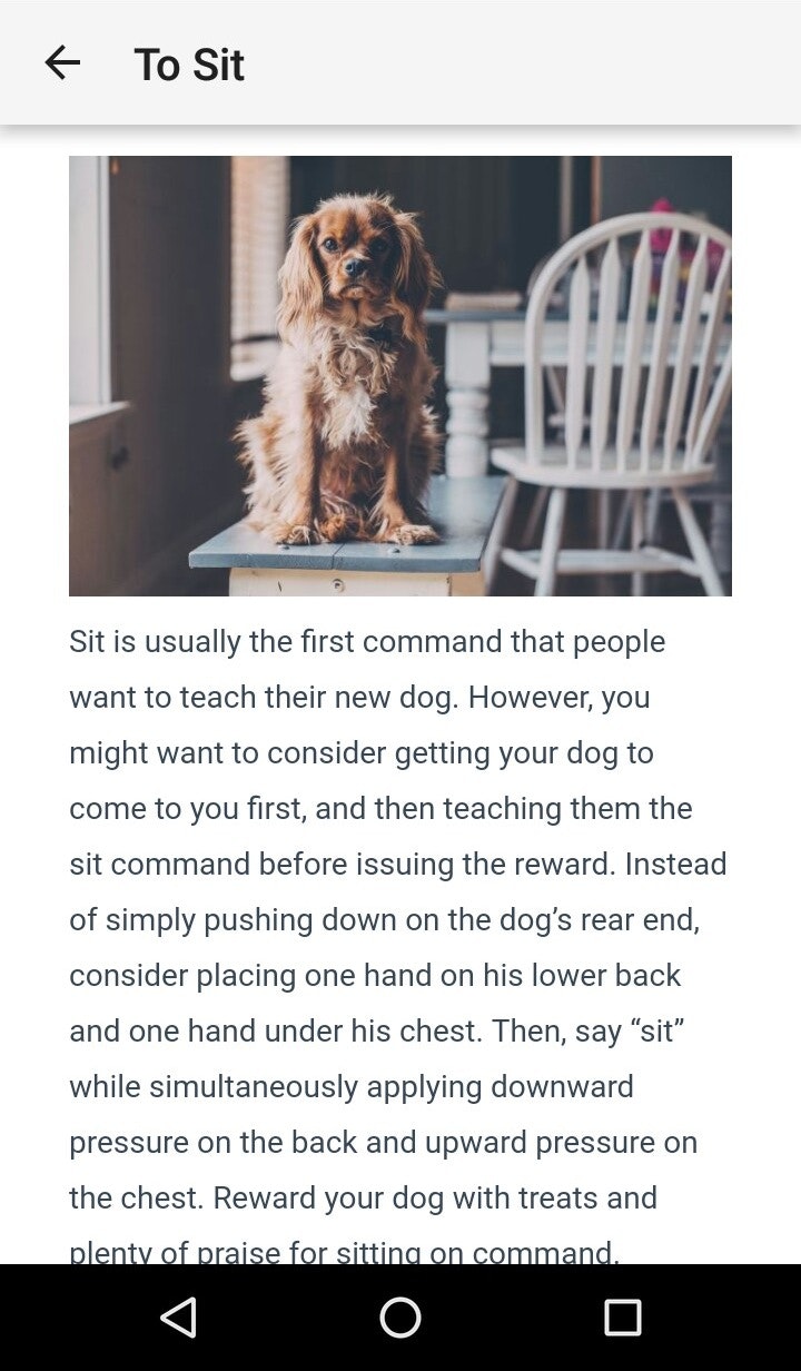 Dog Training : 101 gallery image