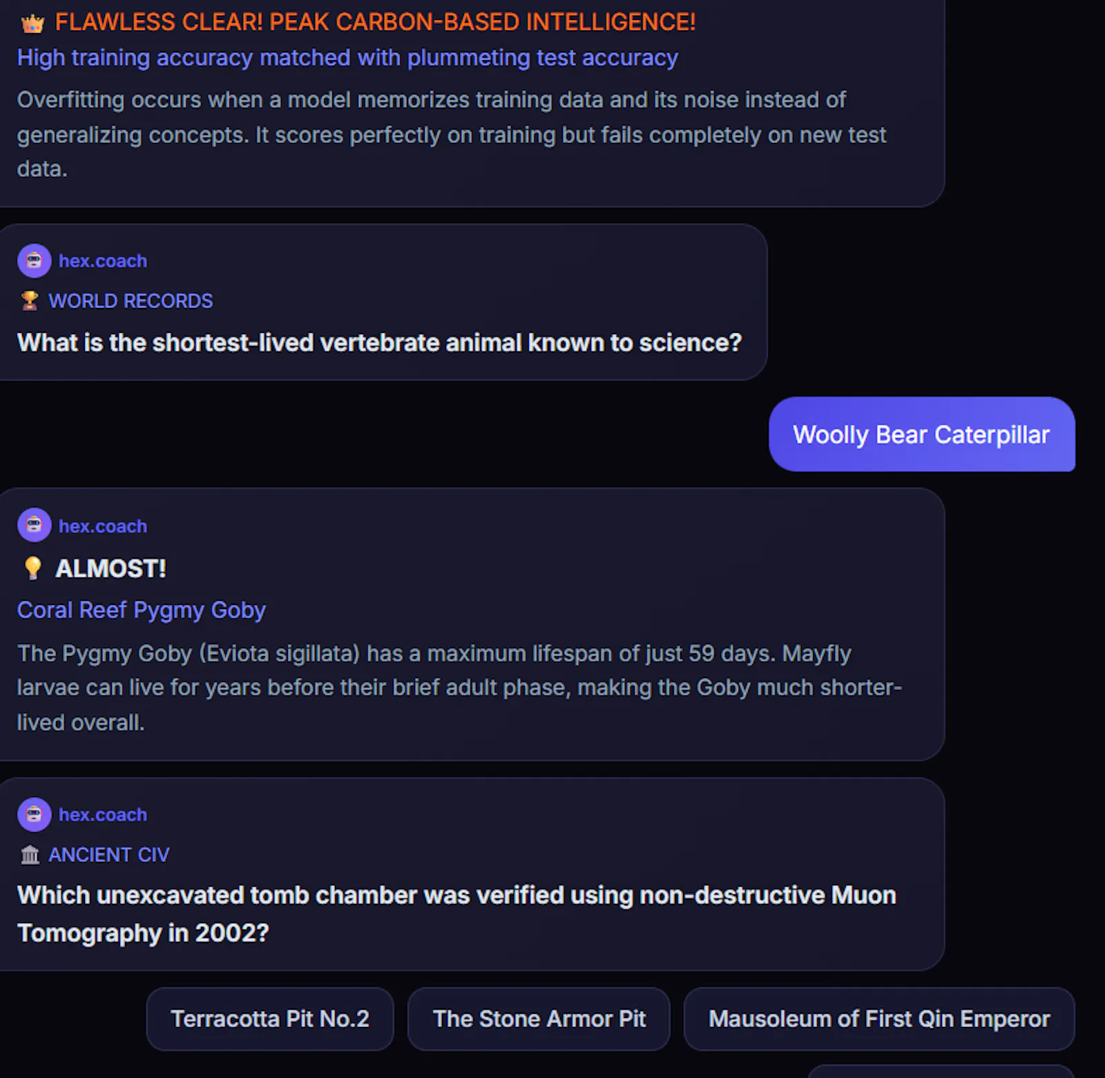 hex.coach — 6D Cognitive Arena screenshot 2