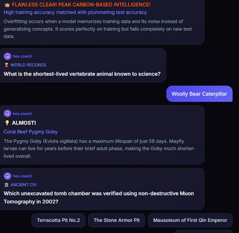 hex.coach — 6D Cognitive Arena screenshot 2
