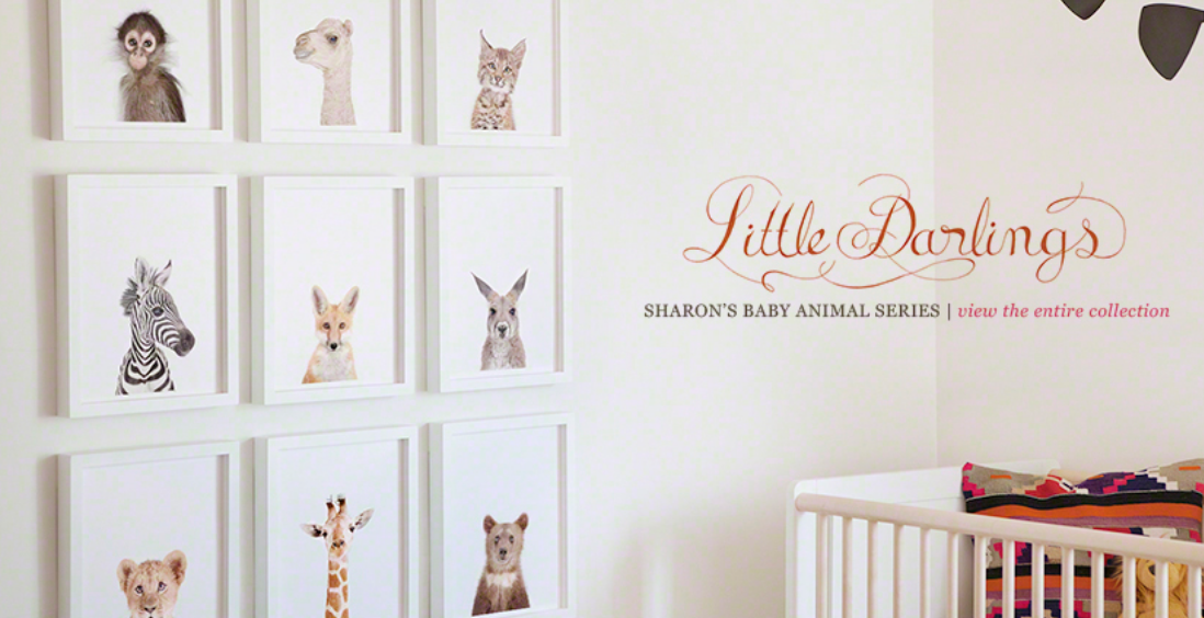 Animal Print Shop gallery image