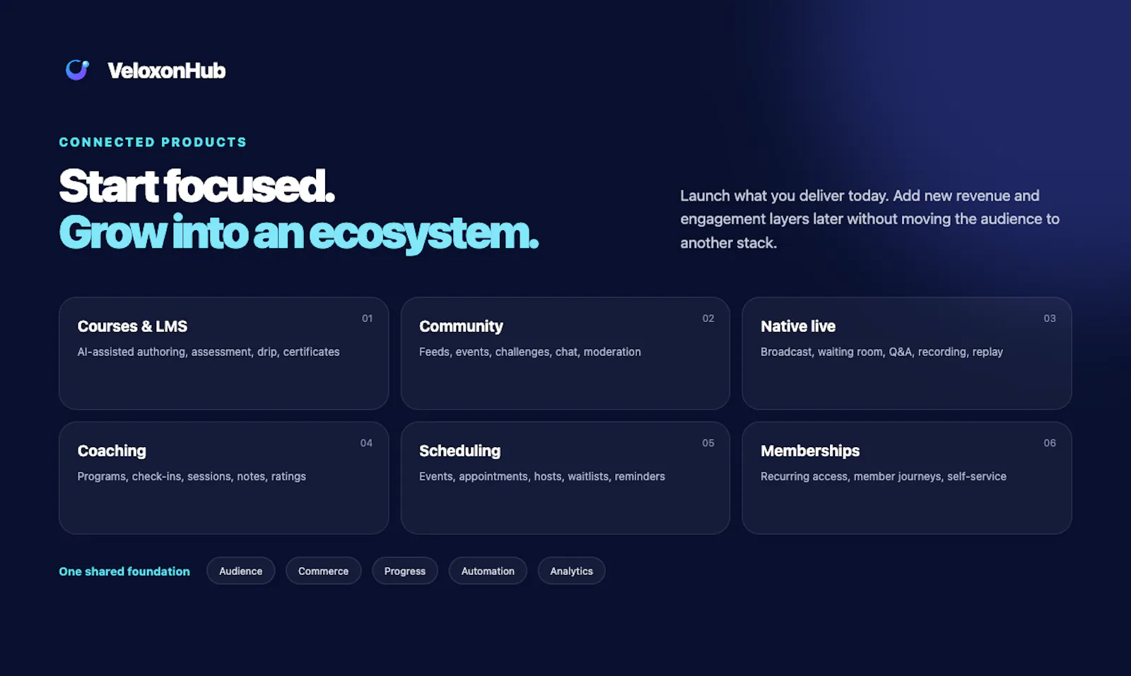 VeloxonHub screenshot 6