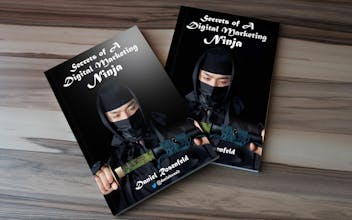 Secrets Of A Digital Marketing Ninja gallery image