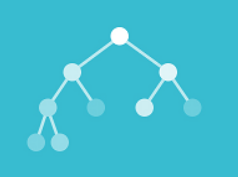 Visualgo gallery image