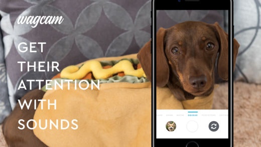 Wagcam gallery image