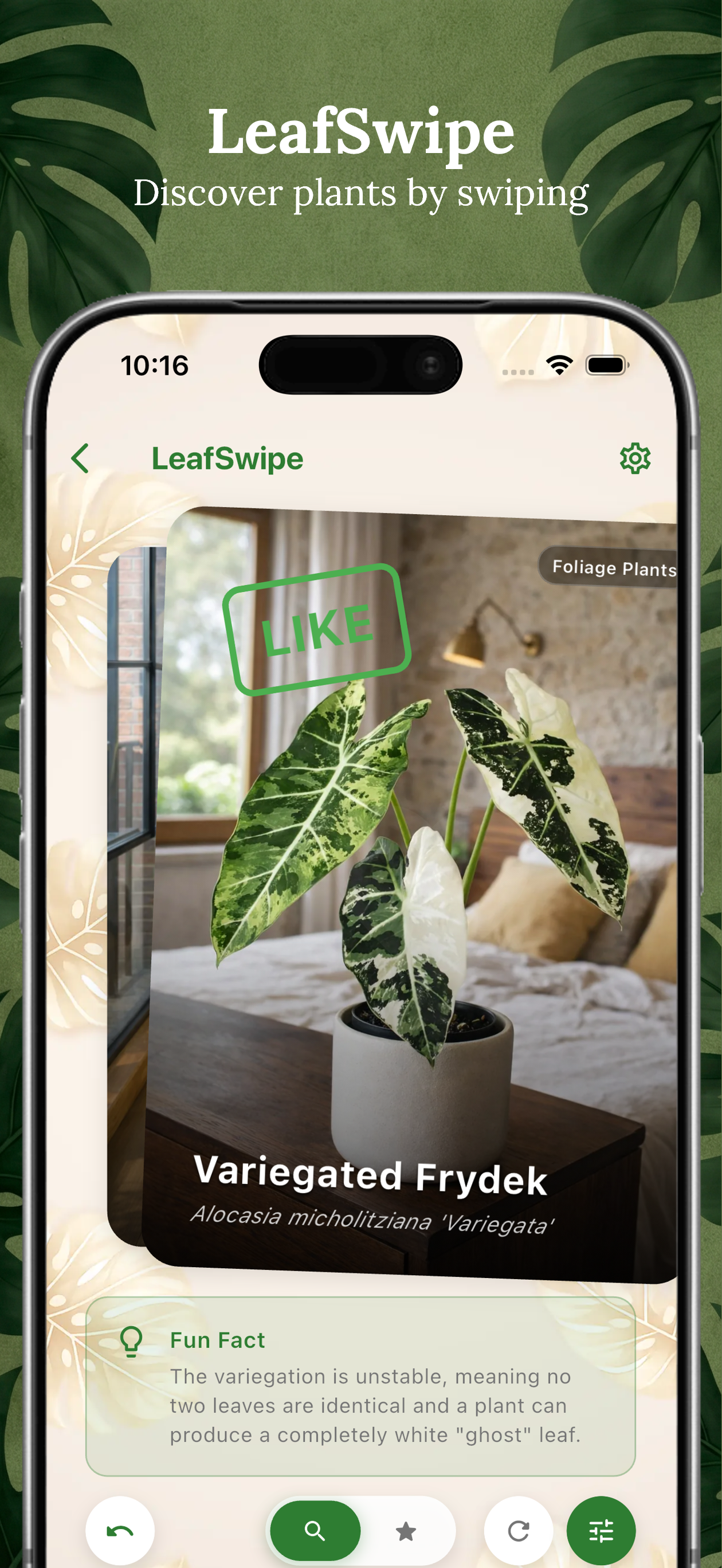 Plantology: Plant Care & ID gallery image