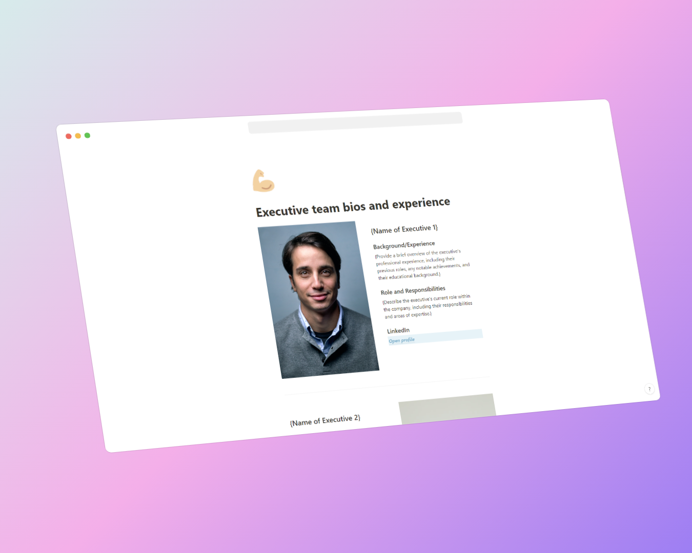 SaaS Startup Virtual Data Room [Notion] gallery image