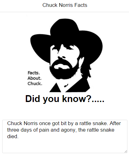 Chuck Norris Facts  gallery image