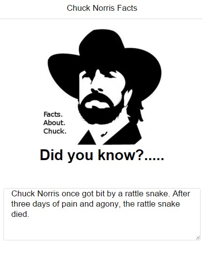 Chuck Norris Facts  media 1