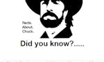 Chuck Norris Facts  image
