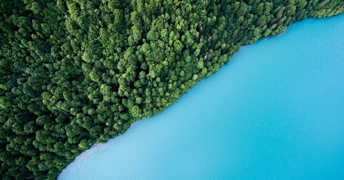 GreenClaims Scanner media 1