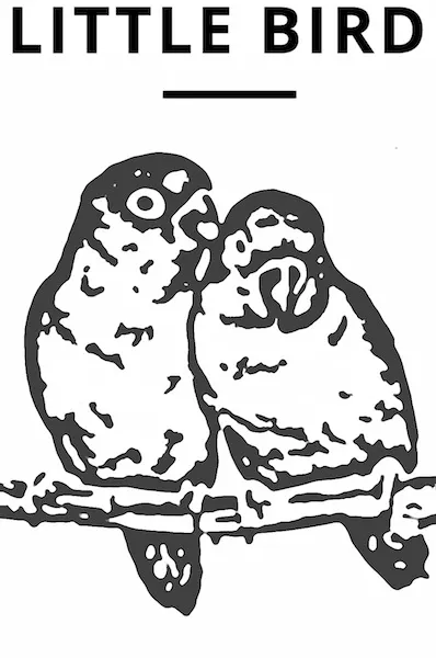 Little Bird - Diamond & Engagement Ring Consulting