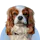 Anitar