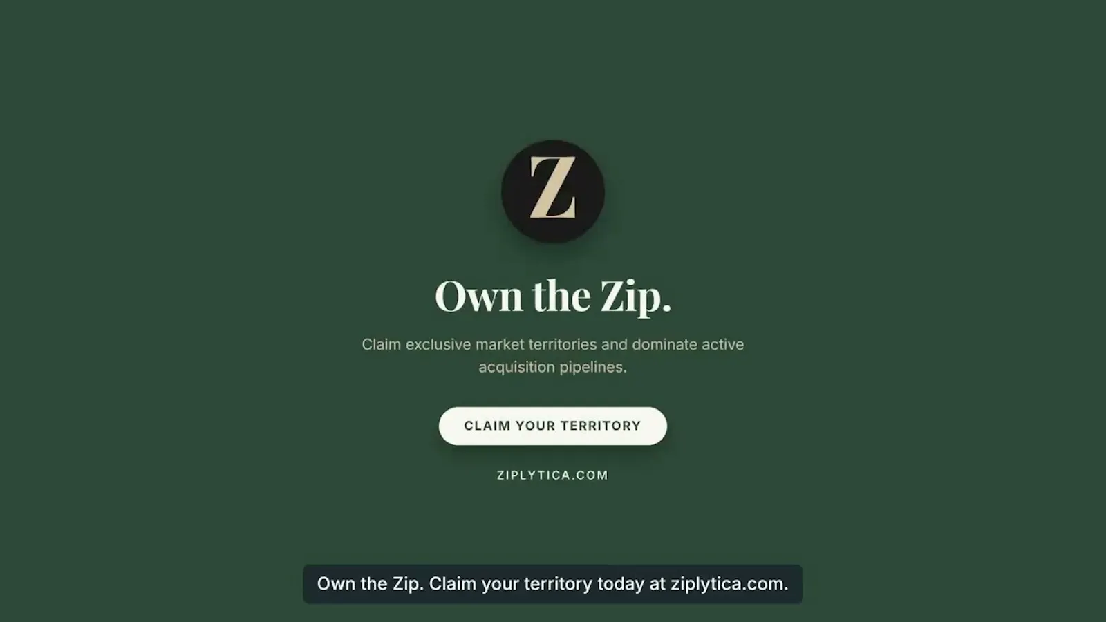 Ziplytica screenshot 1 (video preview)