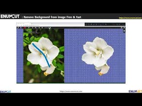 EnumCut gallery image