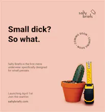 Salty Briefs gallery image