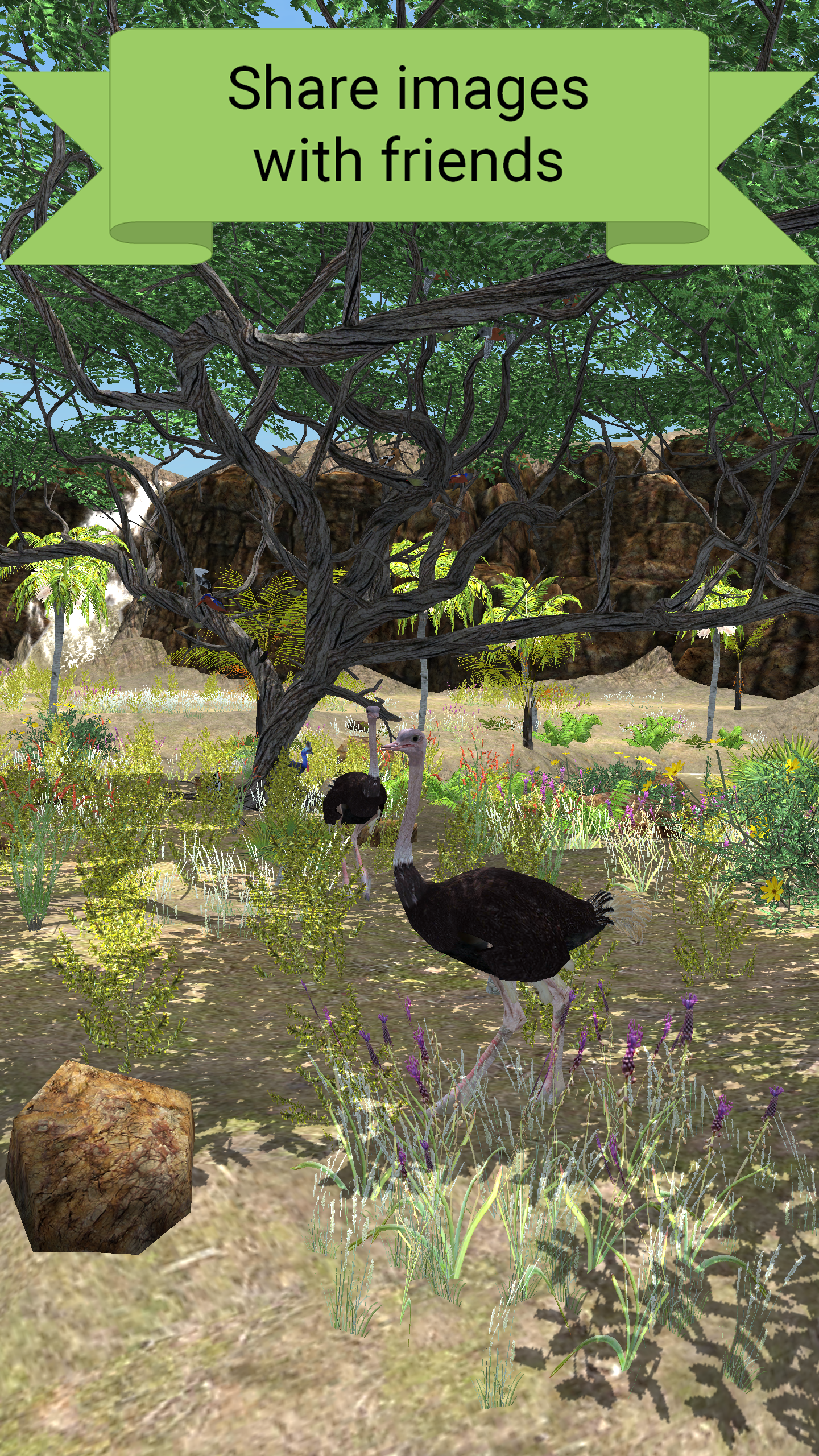 My Aviary gallery image