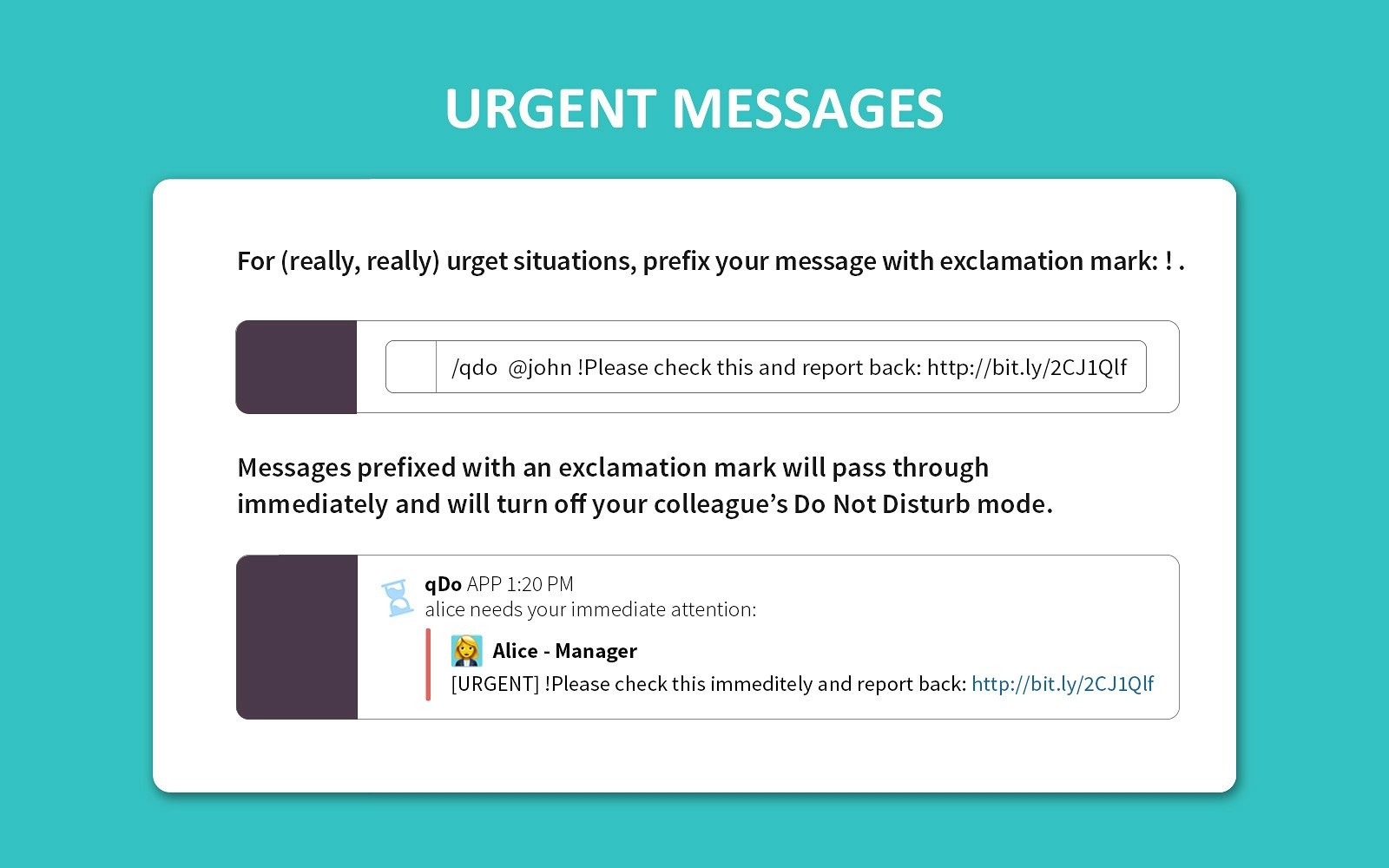 qdochat gallery image