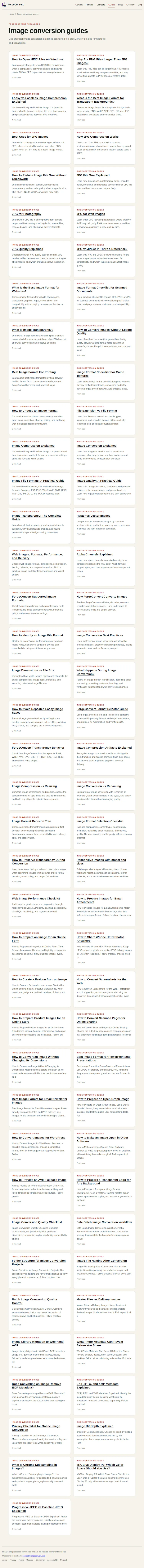 ForgeConvert screenshot 12