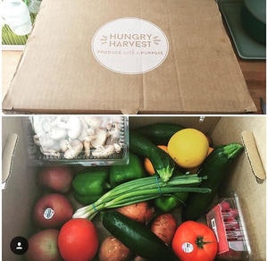 Hungry Harvest gallery image