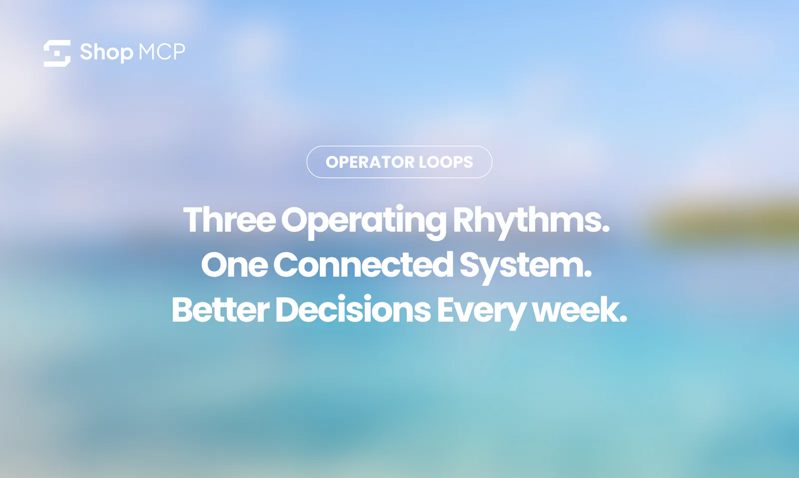 ShopMCP screenshot 3