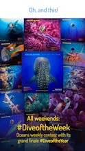 Oceans 2.0 gallery image