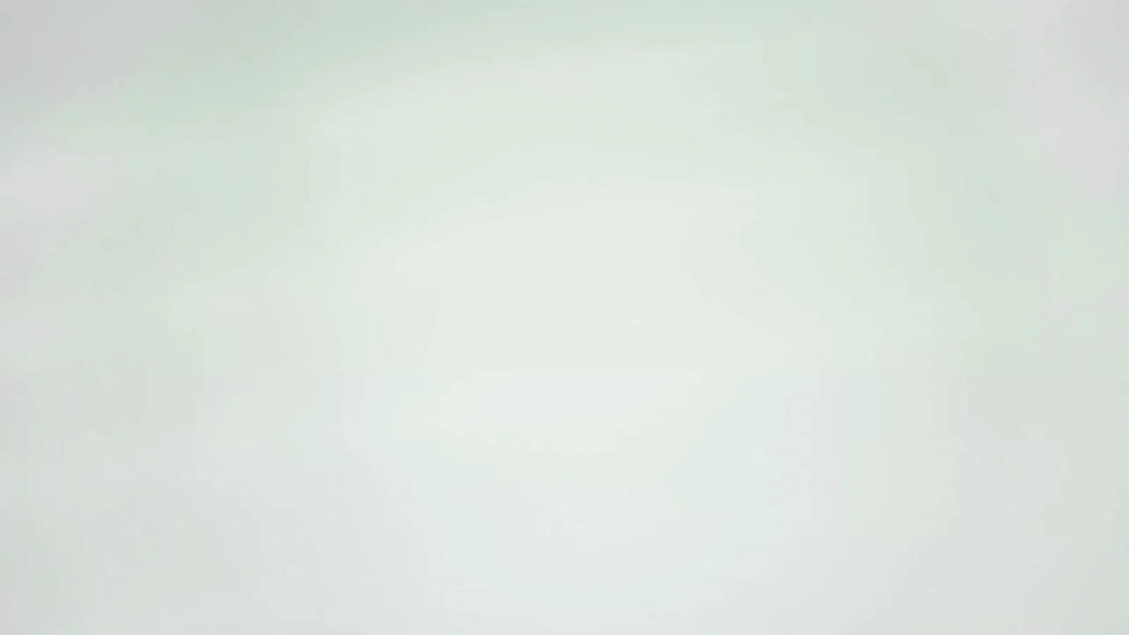 Palplug screenshot 1 (video preview)