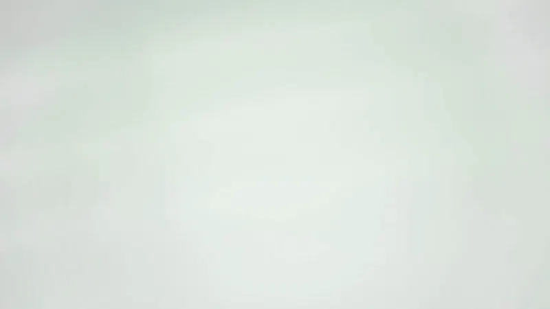 Palplug screenshot 1 (video preview)