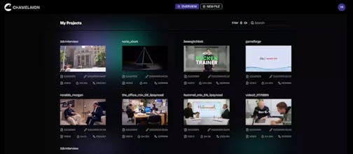 AI Video/Audio Translation Platform gallery image